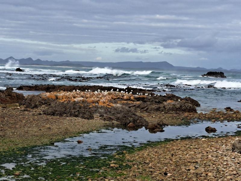 3 Bedroom Property for Sale in De Kelders Western Cape